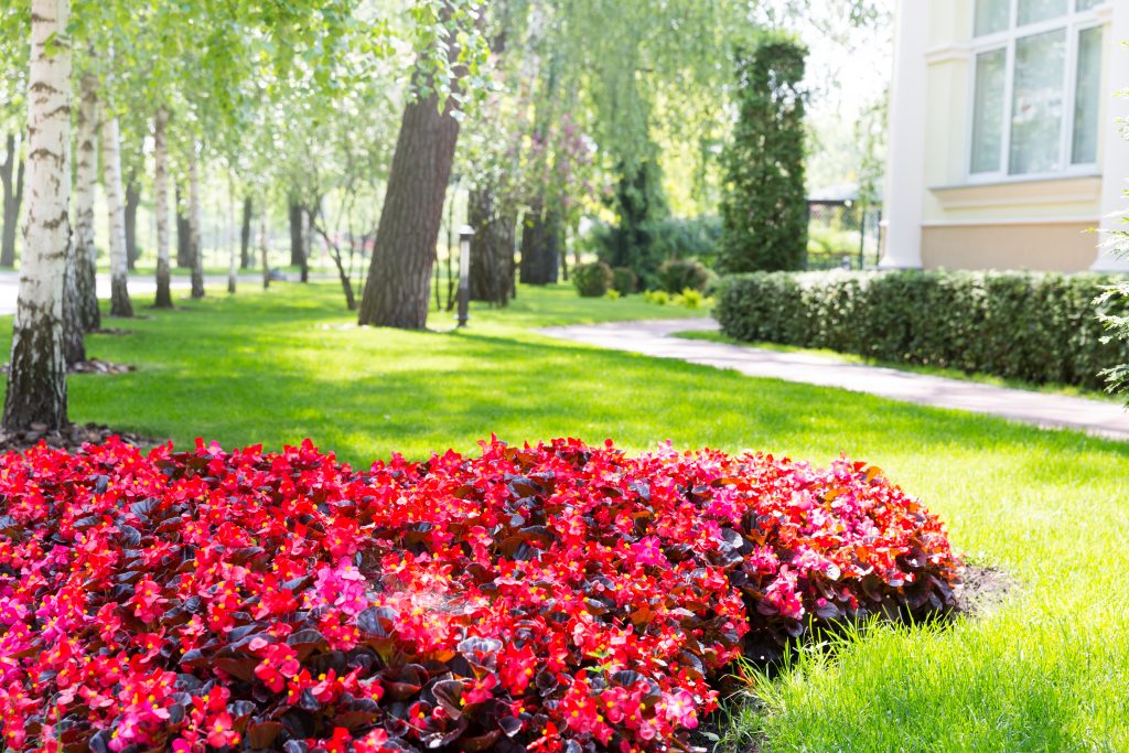 commercial lawn care