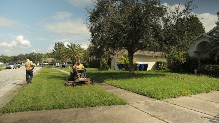 Kissimmee Villa Lawn Care, The Right Side of the HOA.