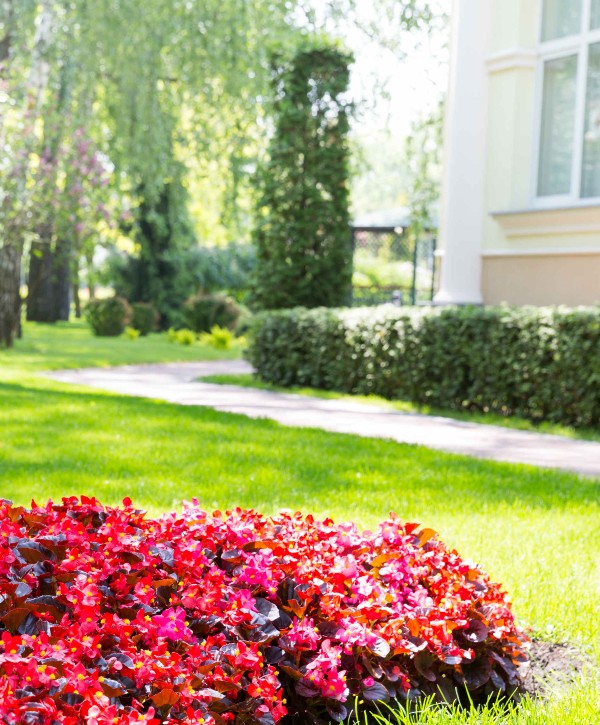 Commercial Landscaping maintenance